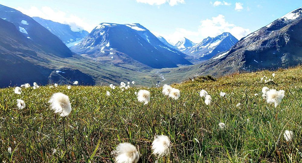 Foto: Ingeborg Mjanger